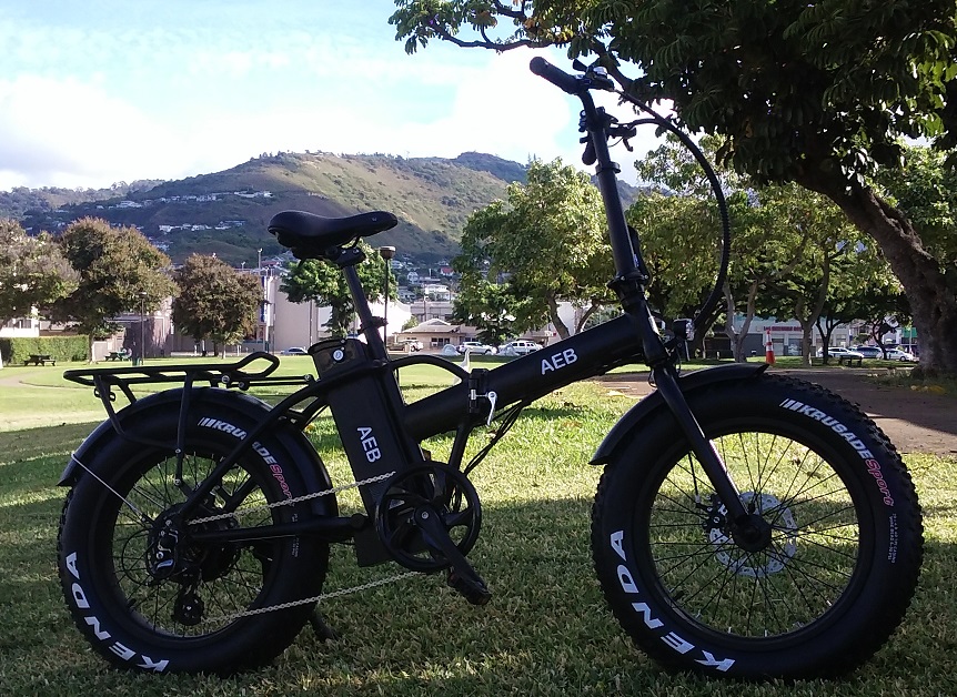 phat aloha mahalo beach cruiser